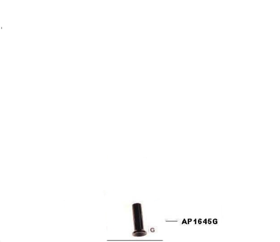 Picture of AP1645 PERFECT POWDER MEASURE DROP TUBE